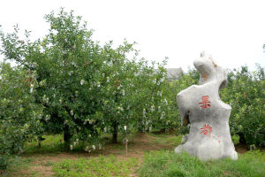 果都大觀園