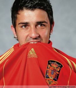 David Villa