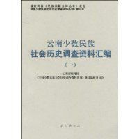 雲南少數民族社會歷史調查資料彙編