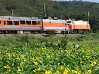 （圖）PP自強號故障出力不足時，後端加掛輔助機車