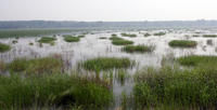 鄭州黃河濕地自然保護區
