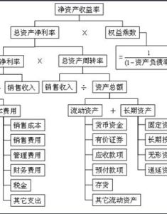 淨資產收益率