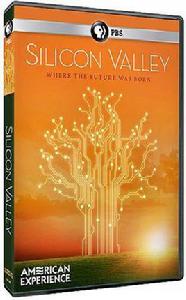 Silicon Valley[2013年美國電影]