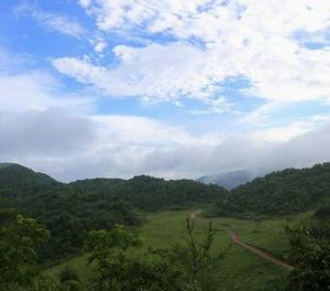 草壩山自然村