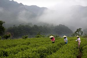 那些年小鎮