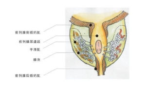 設計原理2