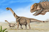 圓頂龍科（Camarasauridae）是蜥腳下目的一科，生存於侏羅紀晚期到白堊紀早期的北美洲、歐洲、亞洲。 敘述圓頂龍科是群中型蜥腳類恐龍，體型粗壯，四肢結實，背部曲線逐漸往後彎曲，前肢長於後肢。與近親腕龍科、梁龍科相比，圓頂龍科的頭骨較高、口鼻部較平坦、體型較小、頸部與尾巴較短。圓頂龍科的牙齒長、呈鑿狀、往前傾斜，是與其他蜥腳類最大的不同處。 分類圓頂龍科的定義為：大鼻龍類之中，較接近圓頂龍，而離高胸腕龍較遠的所有物種。圓頂龍科化石時期： 侏羅紀晚期到白堊紀早期 PreЄЄOSDCPTJKPgN 圓頂龍 保護狀況 化石 科學分類 界： 動物界 Animalia 門： 脊索動物門 Chordata 綱： 蜥形綱 Sauropsida 總目： 恐龍總目 Dinosauria 目： 蜥臀目 Saurischia 亞目： 蜥腳形亞目 Sauropodomorpha 下目： 蜥腳下目 Sauropoda 科： 圓頂龍科 CamarasauridaeCope, 1877