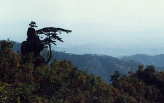 鷲峰山景區