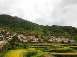 樟田村[江西省贛州市定南縣樟田村]