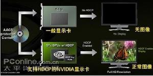 支持HDCP技術NVIDIA顯示卡