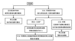 產科診斷和處理