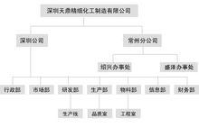 組織架構