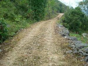 木扭村通村道路