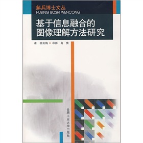 基於信息融合的圖像理解方法研究