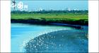 遼寧雙台河口國家自然保護區