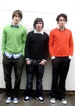 the Wombats