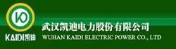 武漢凱迪電力股份有限公司