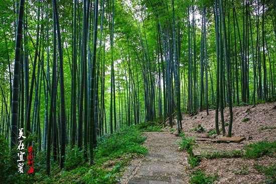 風景絢爛時刻走遍這6個地方，今年8月無遺憾！