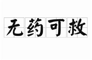 無藥可救[詞語]