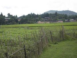 黃家園自然村