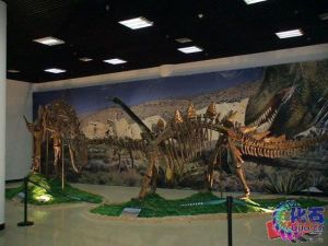 沱江龍化石