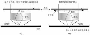 掩模保護膜