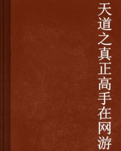 天道之真正高手在網遊