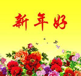 新年好[安子與九妹演唱歌曲]