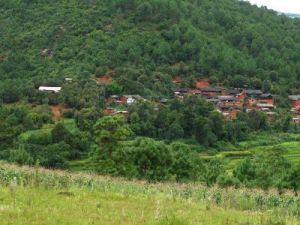 邑堵山後村