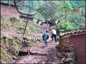 團結芹菜溝村