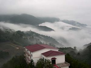 雲頂茶園度假村