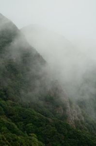 雲山霧罩