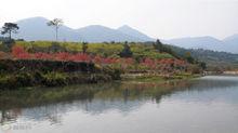 山重湖景