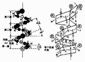 中性理論