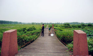 徐馬荒原生態風景區景點