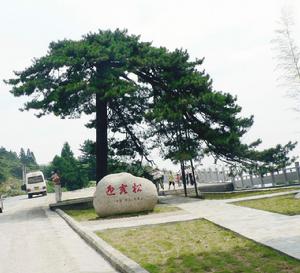 九宮山[湖北省鹹寧市九宮山]