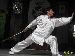 猛鶴拳