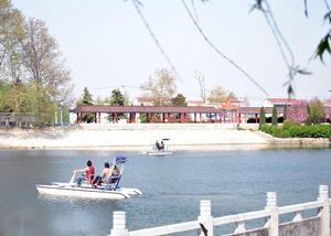 費村村[安徽宿州市蕭縣白土鎮費村村]