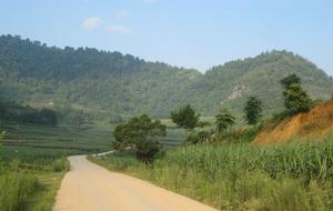 興達村鄉村道路