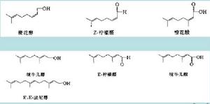 蜜蜂示蹤信息素