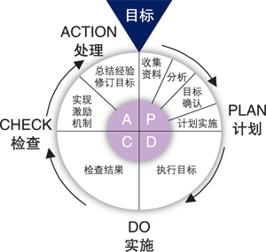 組織創新DNA模型