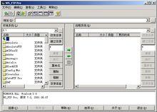 WS_FTPPro2006漢化版