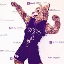 nyu 吉祥物 bobcat