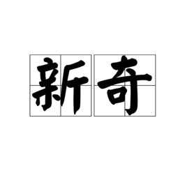 新奇[漢語詞語]