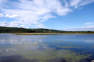 阿爾山杜鵑湖