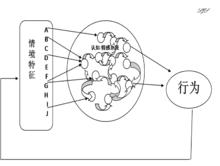 人格認知模型