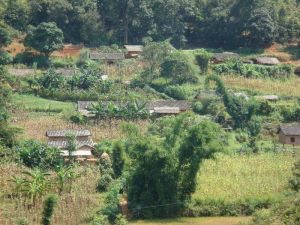 胡廣城村