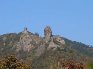 馬家溪森林公園