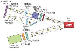 回波