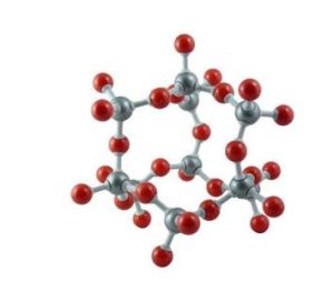 接合分子